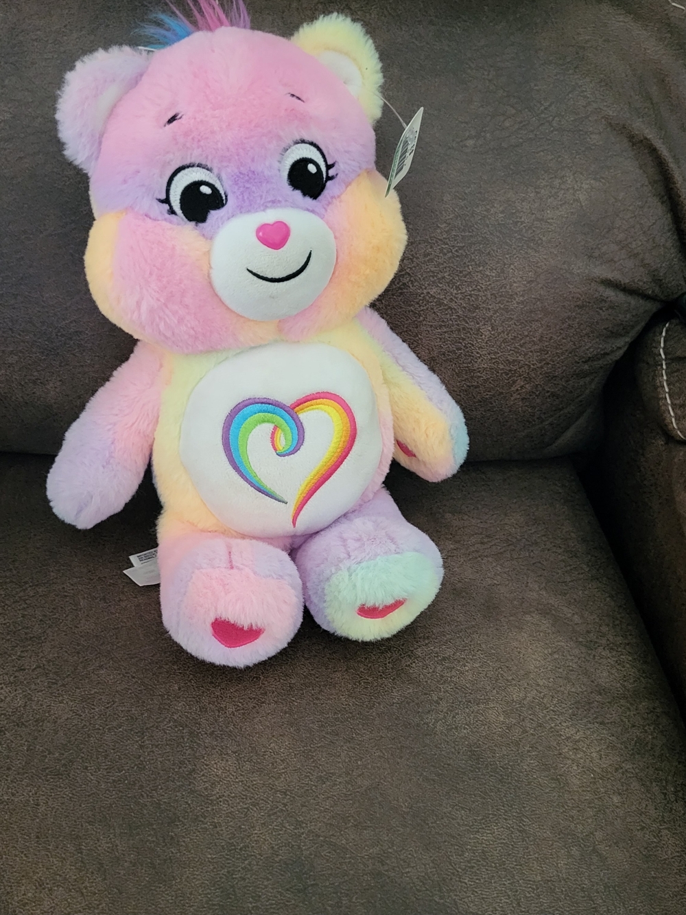Care Bears Pastel Rainbow Heart Plush - Pink, Purple, Yellow, Blue, Mint